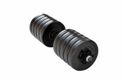 Гантель разборная RN-Sport Long 13 кг